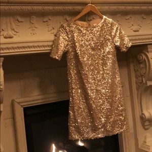 Champagne holiday sequin dress